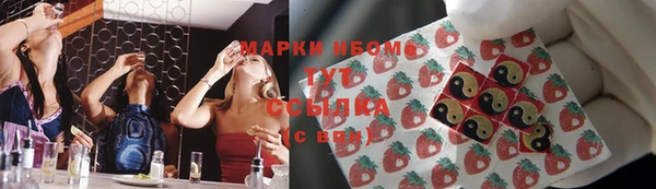ECSTASY Алзамай