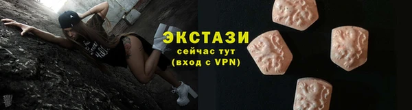 ECSTASY Алзамай