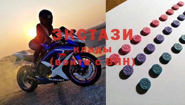 ECSTASY Алзамай