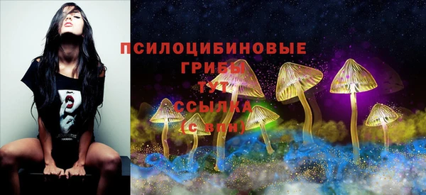 шишки Алексин